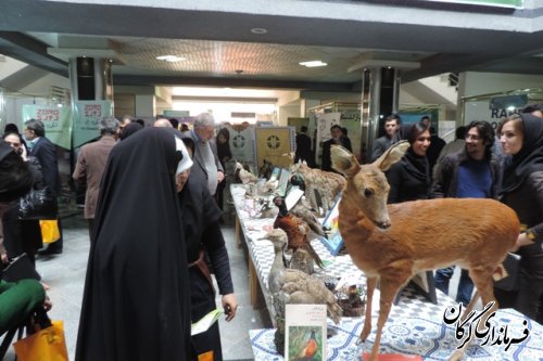 برپایی نمایشگاه به مناسبت روز جهانی حیات وحش