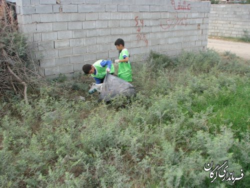 پاکسازی محیط زیست به همراه کارگاه آموزشی در روستای حیدر آباد