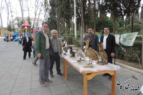 نمایشگاه حیات وحش ، عکس و پوستر به مناسبت دهه مبارک فجر در پارک شهر گرگان برگزار شد 