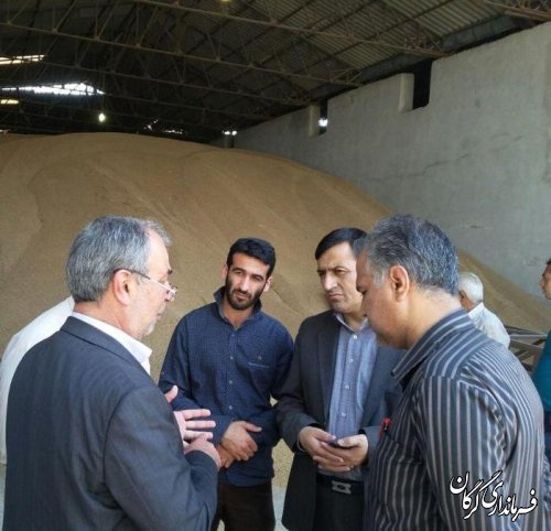گزارش تصویری/بازدید فرماندار از مراکز خرید گندم در شهرستان گرگان 