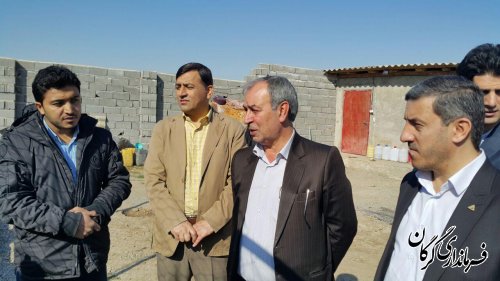 مرکز تولید و پرورش شترمرغ در شهرستان گرگان افتتاح شد 