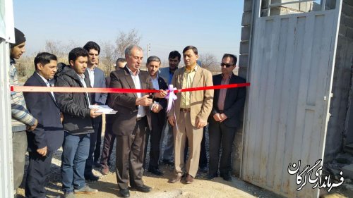 مرکز تولید و پرورش شترمرغ در شهرستان گرگان افتتاح شد 
