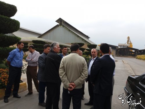 فرماندار گرگان از مراکز تحویل دانه های روغنی (سویا)در شهرستان بازدید کرد 