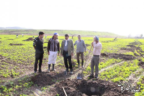 مراسم کلنگ زنی پروژه احداث اولین گلخانه سبزی و صیفی هیدروپونیک در شهرستان گرگان برگزار شد