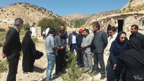 کاشت زعفران و گل محمدی در دستور کار روستاهای کوهپایه ای شهرستان گرگان قرار میگیرد