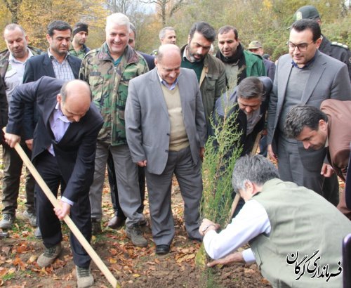کاشت و نگهداری از درختان نماد امر به معروف در جامعه است