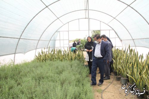 بازدید فرماندار گرگان از گلخانه ۲بانوی موفق در زمینه پرورش گل کاکتوس و گیاهان دارویی