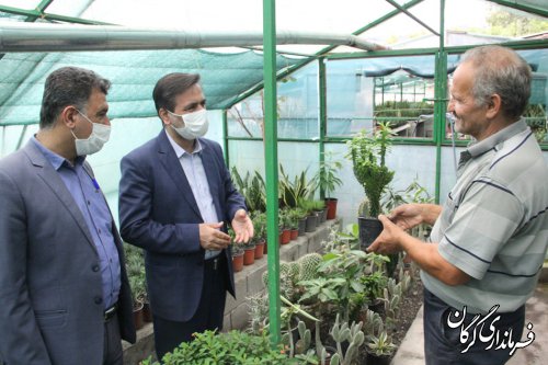 بازدید فرماندار گرگان از گلخانه ۲بانوی موفق در زمینه پرورش گل کاکتوس و گیاهان دارویی