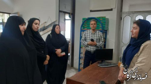 بازدید مدیرکل امور بانوان و خانواده استانداری گلستان از چند طرح اشتغالزایی در گرگان