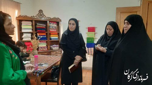بازدید مدیرکل امور بانوان و خانواده استانداری گلستان از چند طرح اشتغالزایی در گرگان