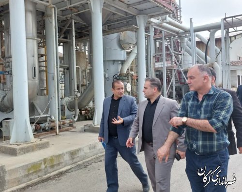 گزارش تصویری || بازدید سرپرست فرمانداری شهرستان گرگان از کارخانه صنایع غذایی کامنوش 